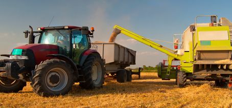 Agriculture_2