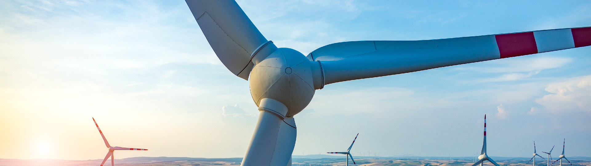 CO2-Neutralitätsstrategie