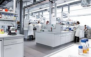 FUCHS employees working in laboratory